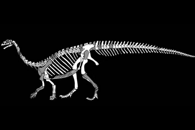 Sefapanosaurus