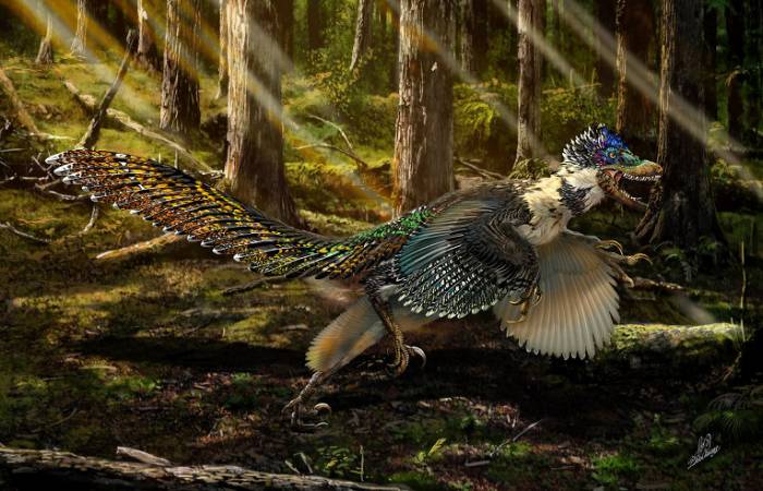 крылатый дромеозавр
