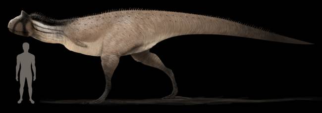 Карнотавр (Carnotaurus)