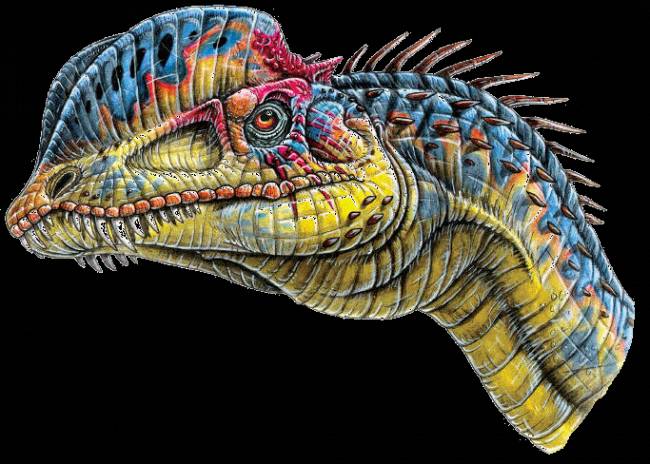 Дилофозавр.