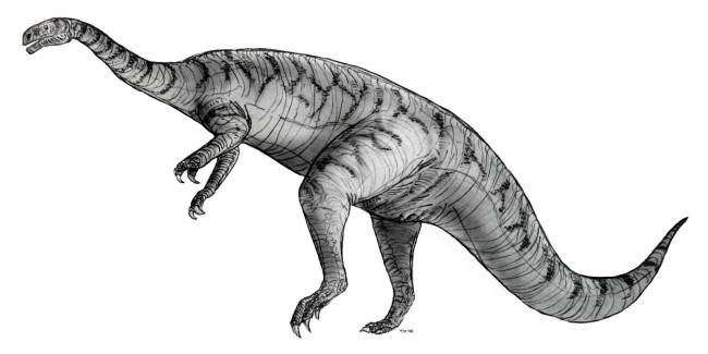 Платеозавр фото