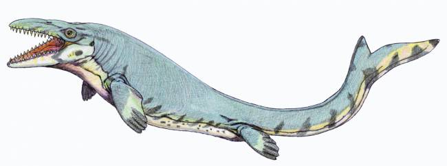 Мозазавр фото