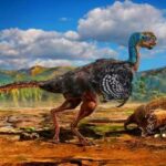 овирапторид 