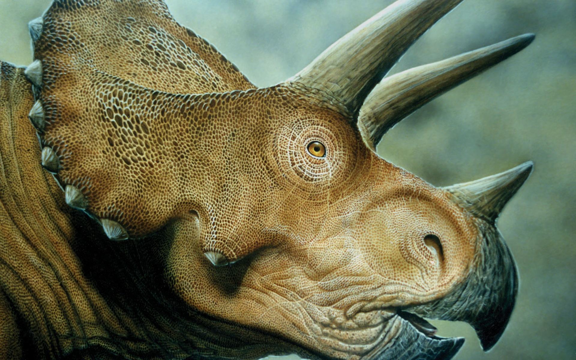 50 интересных фактов о динозаврах с фото