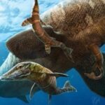 морские рептилии из мезозойской эры