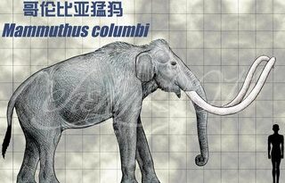 древний слон