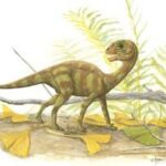 Мусзавр (Mussaurus)