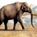 трогонтериевый слон