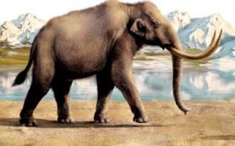 трогонтериевый слон