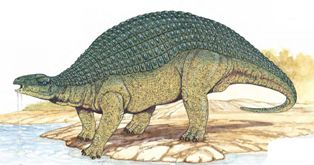 останки динозавра семейства нодозавров