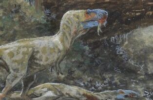 каннибализм тираннозавров