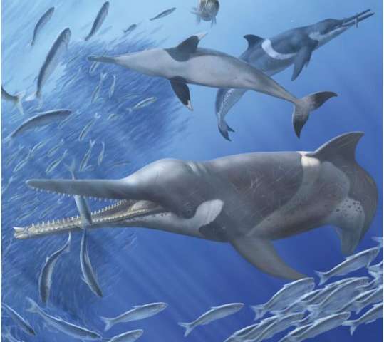 доисторический кит