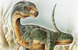 хищные динозавры