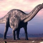 Дикреозавр