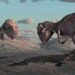 Гомалоцефал (Homalocephale)