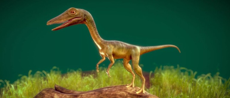 Прокомпсогнат (Procompsognathus)