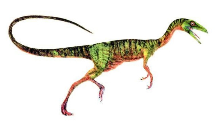 Procompsognathus фото