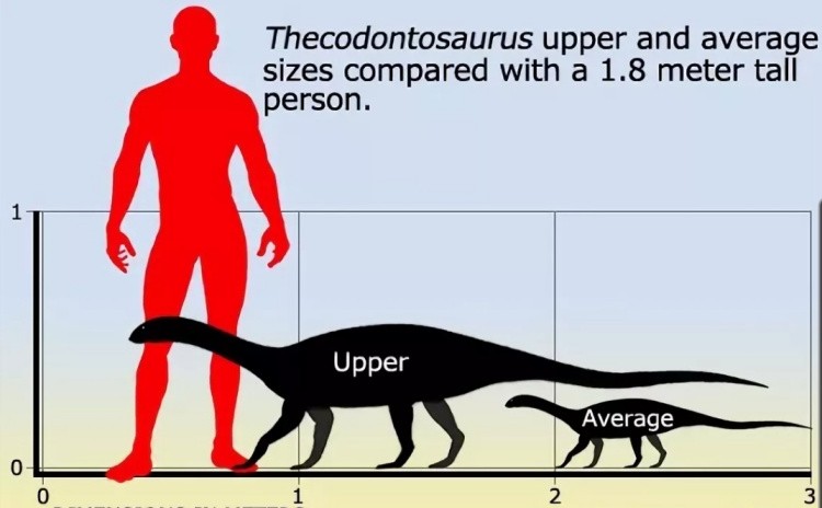 Текодонтозавр размер