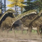 Европазавр (Europasaurus)