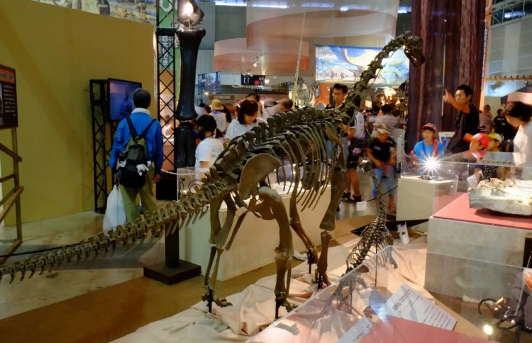 Европазавр скелет