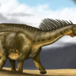 Амаргазавр (Amargasaurus)