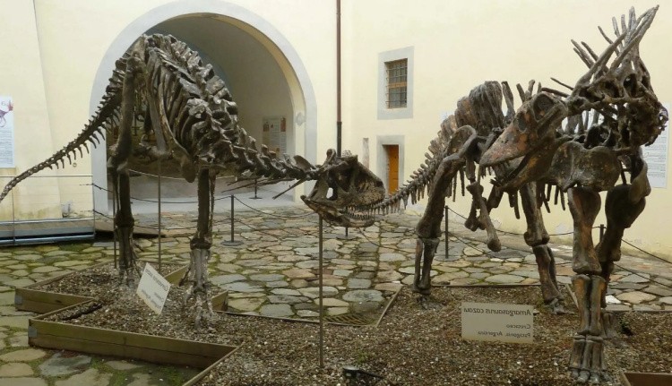 Амаргазавр скелет