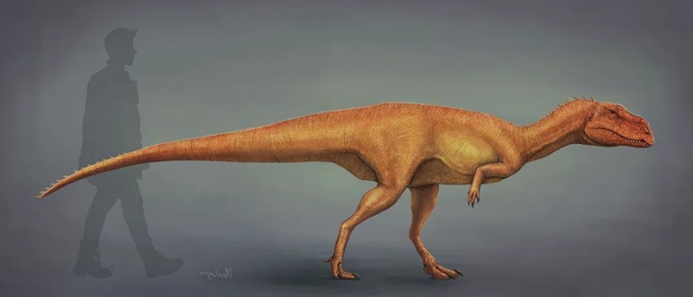 Берберозавр (Berberosaurus)