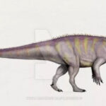 Эукнемезавр (Eucnemesaurus)