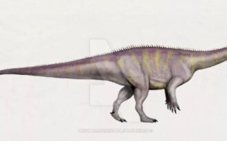 Эукнемезавр (Eucnemesaurus)