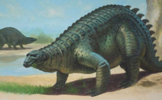 сцелидозавр