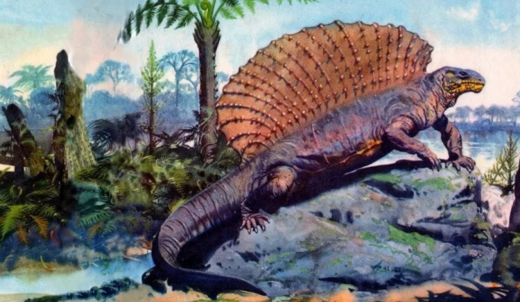 Эдафозавр картинка