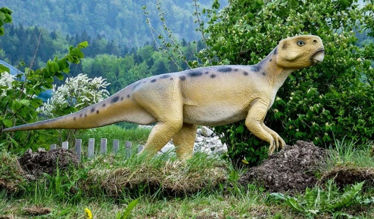 Пситтакозавр фото