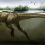 Афровенатор динозавр фото