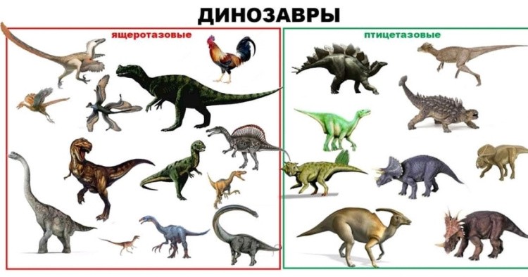 Ящеротазовые динозавры
