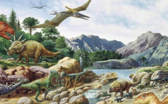 Ящеротазовые динозавры фото